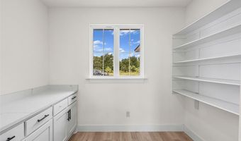 252 Jimmy Ln, Millsap, TX 76066
