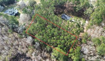 0 Ashe Brown Rd, Adams Run, SC 29426
