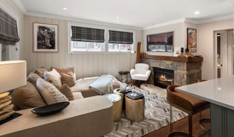 835 E Hyman Ave D, Aspen, CO 81611