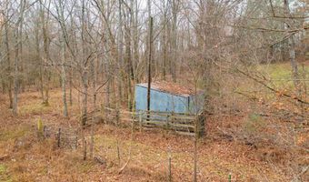2690 Bethel Rd, Almo, KY 42020