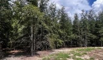 4899 36th St, Bell, FL 32619