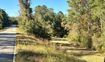 0 Alternate 97, Abbeville, AL 36310