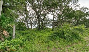 175 Harbor Cir, Alligator Point, FL 32346