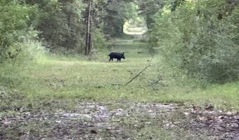 Lower Bay Road, Bay St. Louis, MS 39520