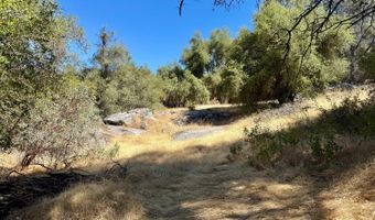 41902 Woodward Way, Ahwahnee, CA 93601