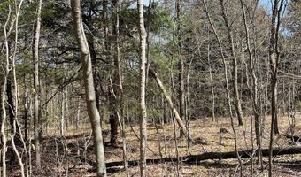 106 Road, Alma, NY 14708