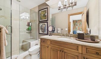 914 E Cooper Ave, Aspen, CO 81611