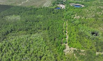 xxx County Hwy 73, Altha, FL 32421