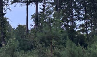 Fop Lodge Rd, Andalusia, AL 36421