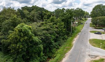 7 02 Acres Monroe E, Ashburn, GA 31714