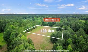 Marion Woods Trail, Bonneau, SC 29431