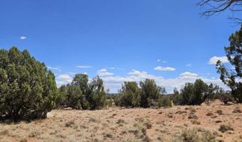 27 N 9183, Concho, AZ 85924