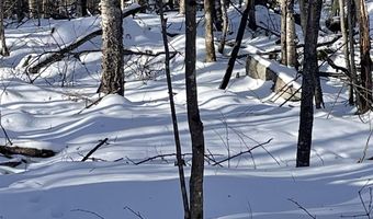 Old Franconia Road, Bethlehem, NH 03574