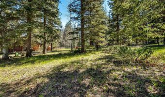 7 County Rd 2044, Alpine, AZ 85920