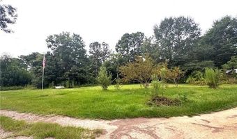 26354 C. JENKINS Rd, Angie, LA 70426