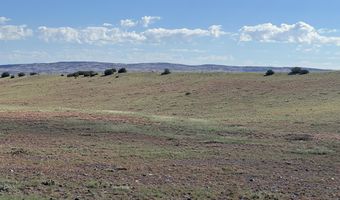 1342 County Road 5020, Concho, AZ 85924