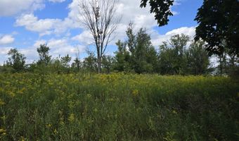 14296 Tubspring Vl, Allenton, MI 48002