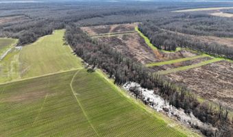 001 CR 532, Avalon, MS 38917