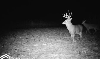 560 Th Ave, Albia, IA 52531