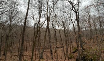 TBD1 E Willow Rd, Bloomfield, IN 47424