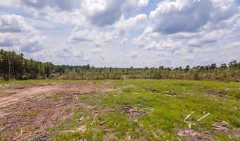 R53358 Tract 3 HWY 94, Apple Springs, TX 75926