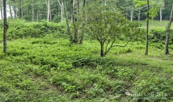 Featherwood Trail, Banner Elk, NC 28604