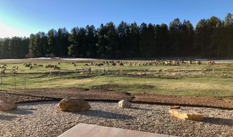 567 Bald Eagle Rd, Bayfield, CO 81122
