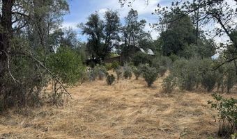 17300 Fuzzy Ln, Anderson, CA 96007