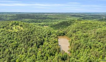 16060 US 278, Beaverton, AL 35544