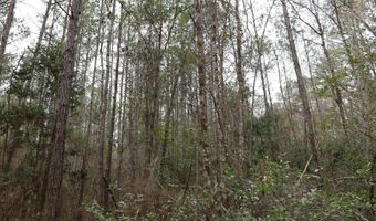 TBD Hwy. 29, Brooklyn, MS 39425