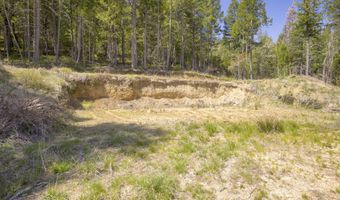 2799 Quines Creek Rd, Azalea, OR 97410