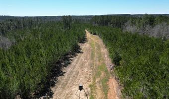10 Robinsonville Rd, Atmore, AL 36502