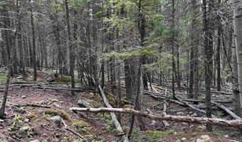 Lot 141 Back Basin Rd, Angel Fire, NM 87710