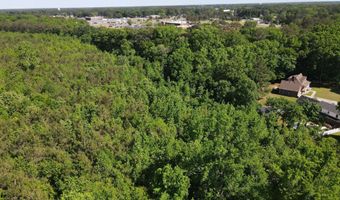 Colice Hall Lane, Ahoskie, NC 27910