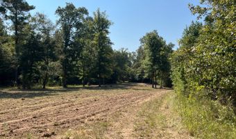 0 Nick Creek Rd, Bernice, LA 71222