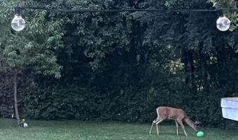 3604 Platt Rd, Ann Arbor, MI 48108