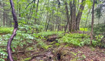 9110 Gap Rd, Allenwood, PA 17810