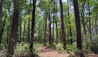 Fox Paw Court, Branchville, SC 29432