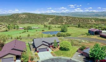208 Full Moon Cir, Bayfield, CO 81122