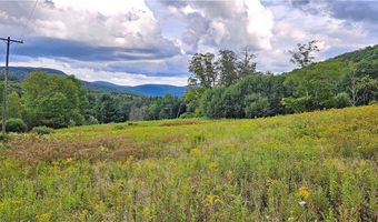 Shaver Hollow, Andes, NY 13731