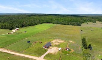 8445 HAINES, Alanson, MI 49706