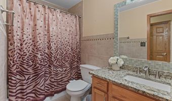 5316 W MINT JULIP Dr, Alsip, IL 60803