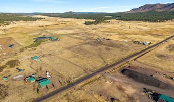 216 CR 2311, Alpine, AZ 85920