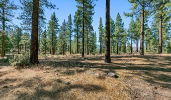 238 Redding Way, Carson City, NV 89705