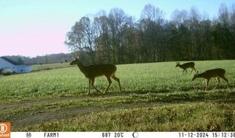 Martha Stockton Road, Albany, KY 42602