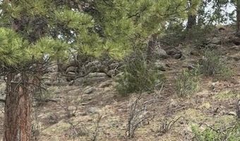 Mockingbird Trail, Bailey, CO 80421