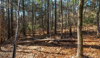 Old Douglass Road unit 3 3, Blackstock, SC 29014