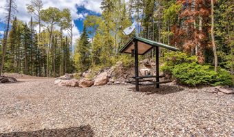 310 N Scenic Dr, Brian Head, UT 84719
