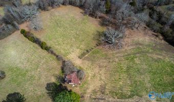 17 Acres County Road 656, Anderson, AL 35610