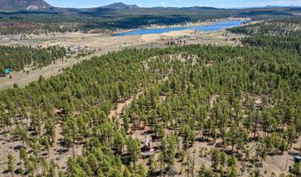 2 Co Rd N2147, Alpine, AZ 85920